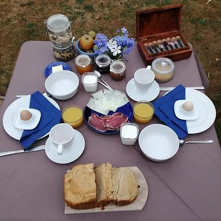 Domaine De La Castagnere Bed & Breakfast Castetnau-Camblong