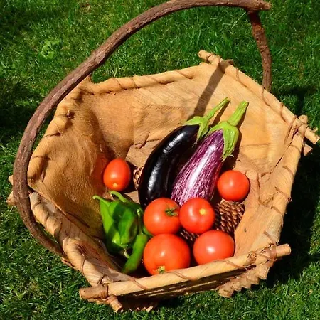 Domaine De La Castagnere * Castetnau-Camblong