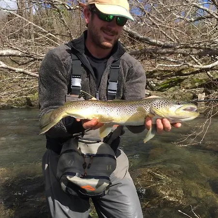 Bed & Breakfast Domaine De La Castagnere