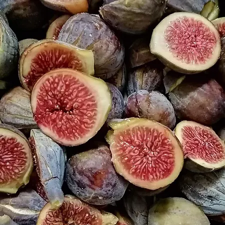 Domaine De La Castagnere Bed & Breakfast