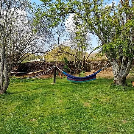 Domaine De La Castagnere
