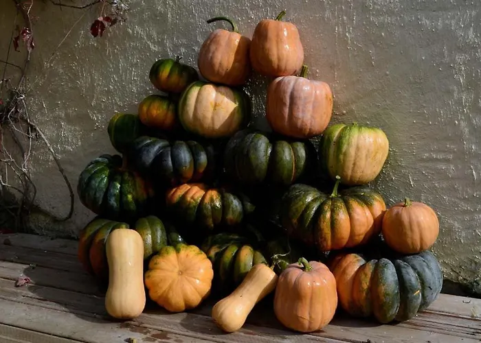 Domaine De La Castagnere * Castetnau-Camblong